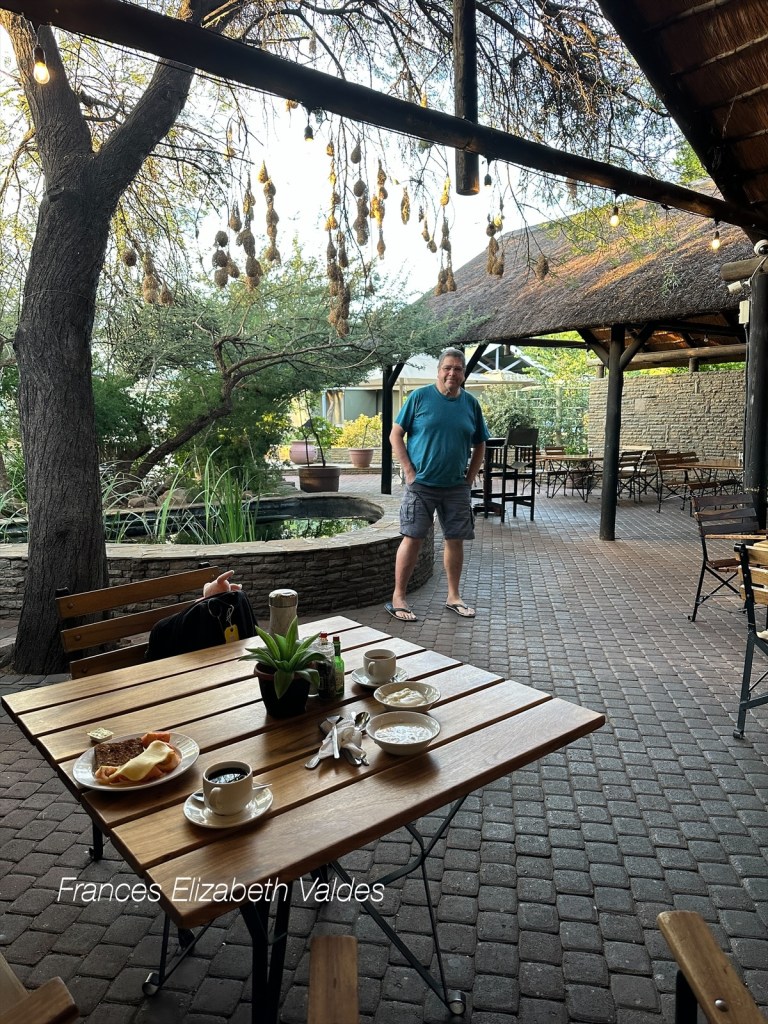 Nigel underneath the tree with weaver bird nests. He has his eyes trained on our breakfast - as the weaver birds also did.